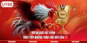 Đá Gà Cựa Sắt UY88 - Trực Tiếp Những Trận Cầu Nảy Lửa