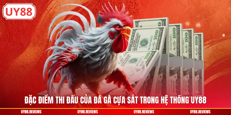 Đặc điểm thi đấu của đá gà cựa sắt trong hệ thống UY88