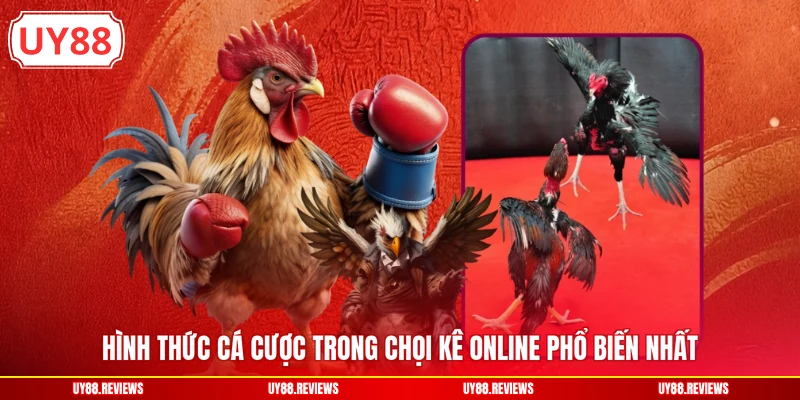 Hình thức cá cược trong chọi kê online phổ biến nhất