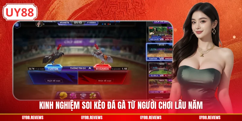 Kinh nghiệm soi kèo đá gà từ người chơi lâu năm